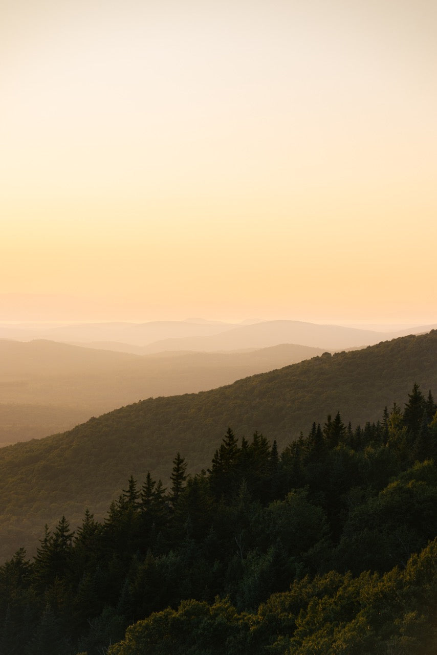 Closeknit (Pocket Tee)
