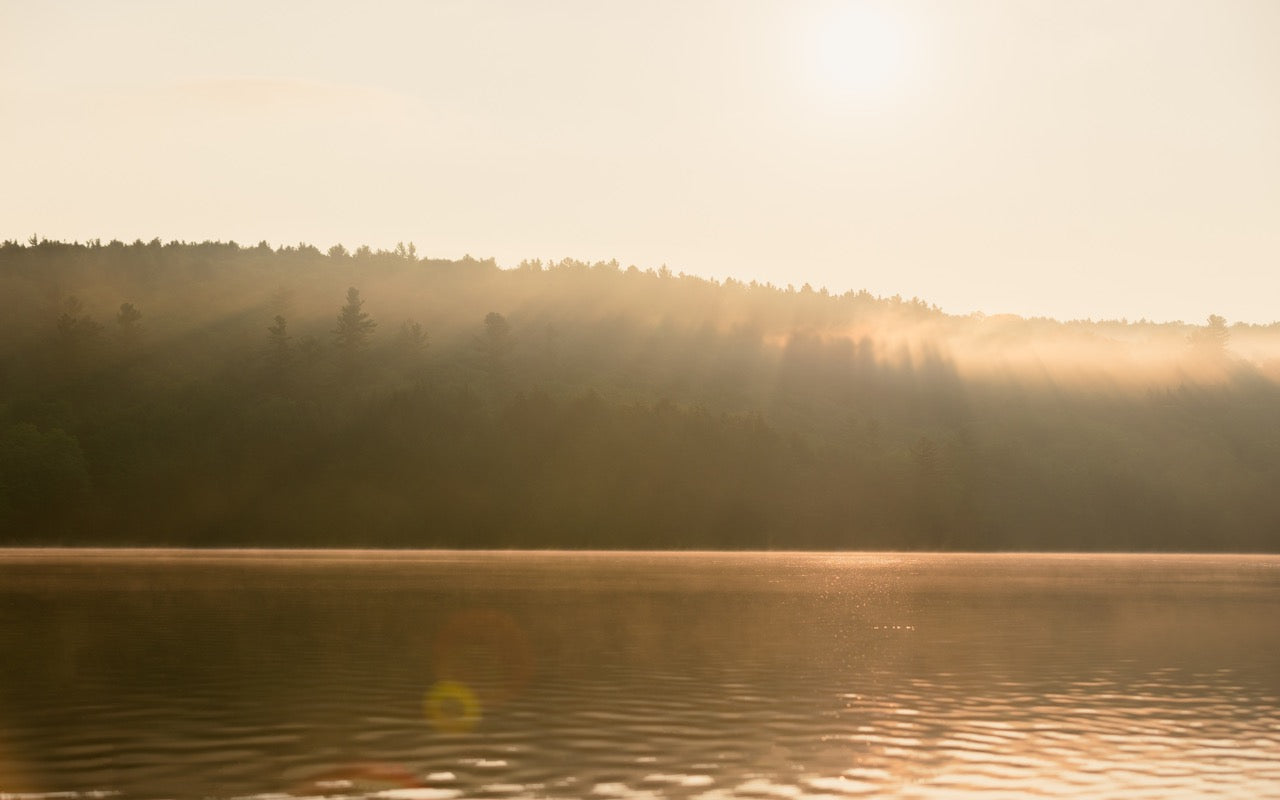 Pomfret (Country Chino)