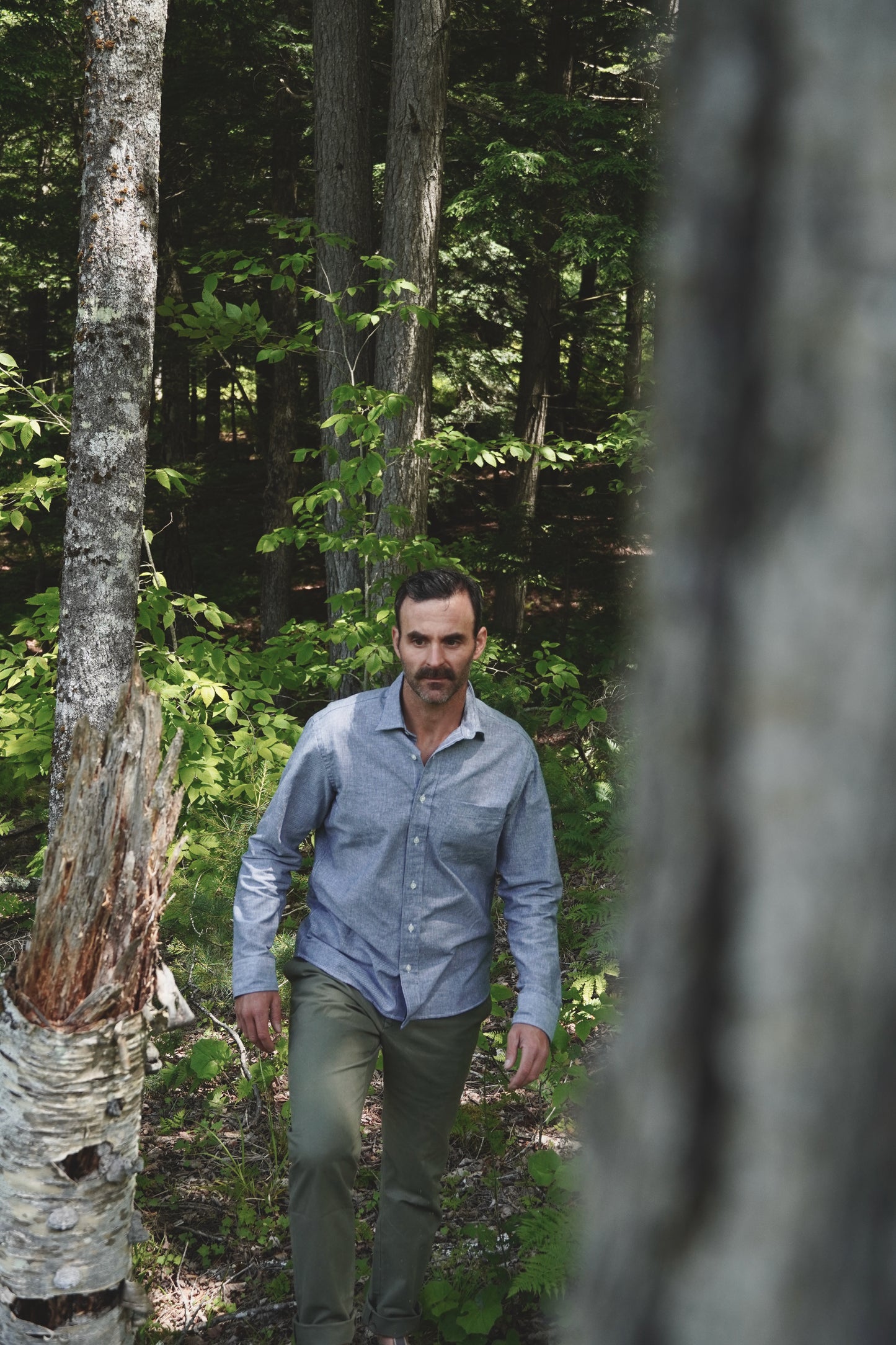 Windsor (Button Down)
