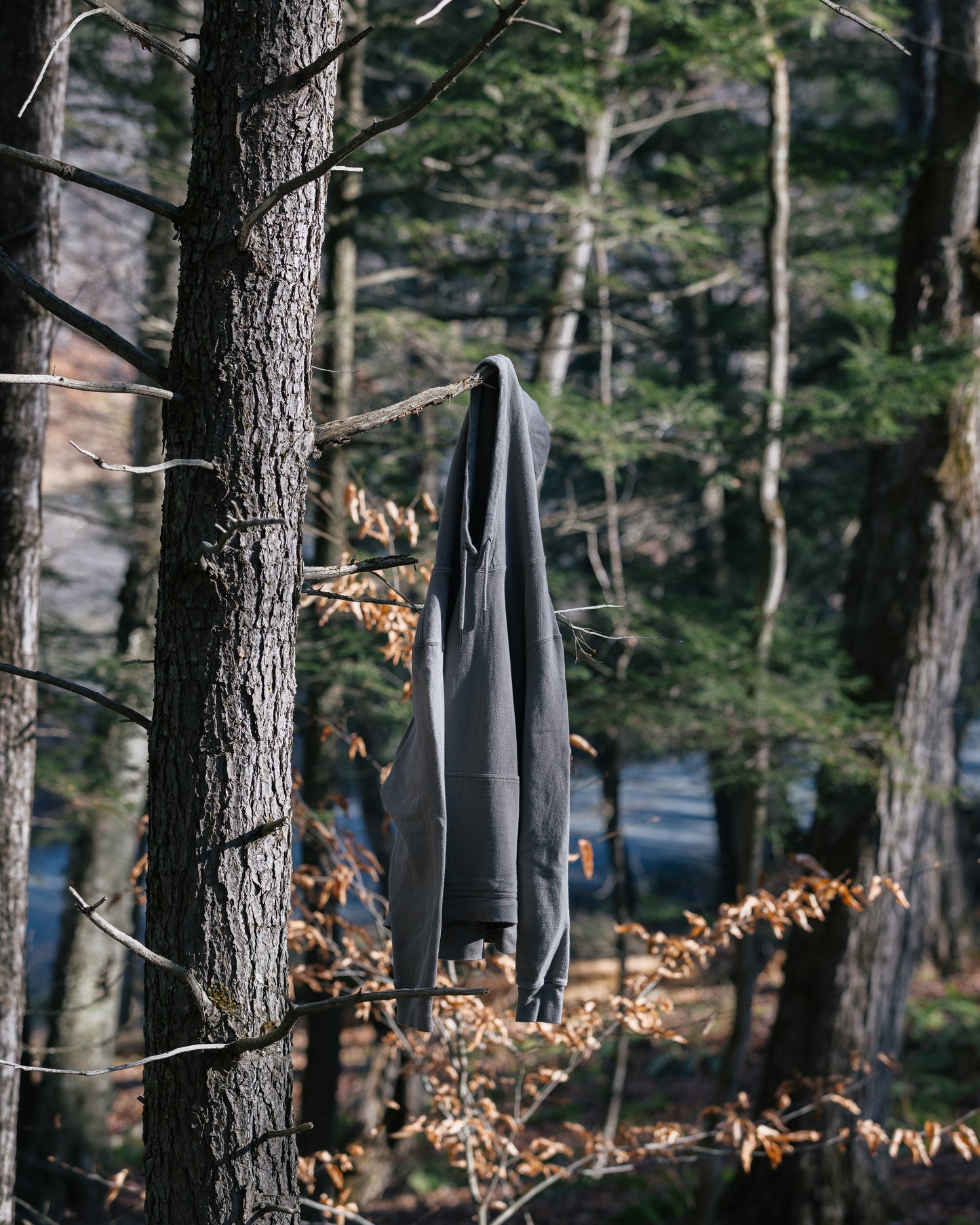 Hayes (Pullover Hoodie)